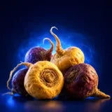 Maca Peruana